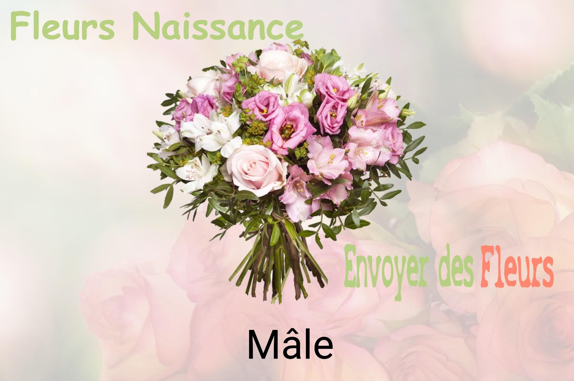 Bouquet de fleurs de naissance livré à Mâle